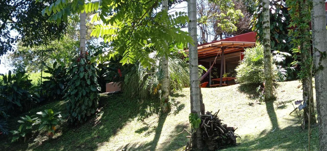 Tierra Negra Guest house *
